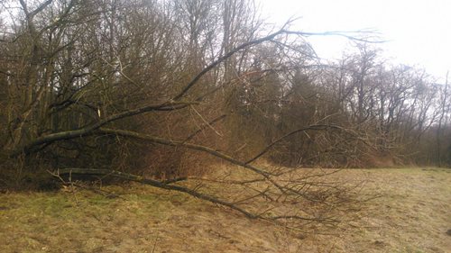AKTUALIZACE 3. V Kraji  Vysočina popadané stromy i nadále komplikují dopravu 