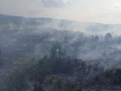 S požárem lesa v nepřístupném terénu u Bruntálu pomáhal vrtulník