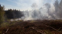Požár hrabanky a lesního porostu v těžce přístupném terénu, Vikýřovice.