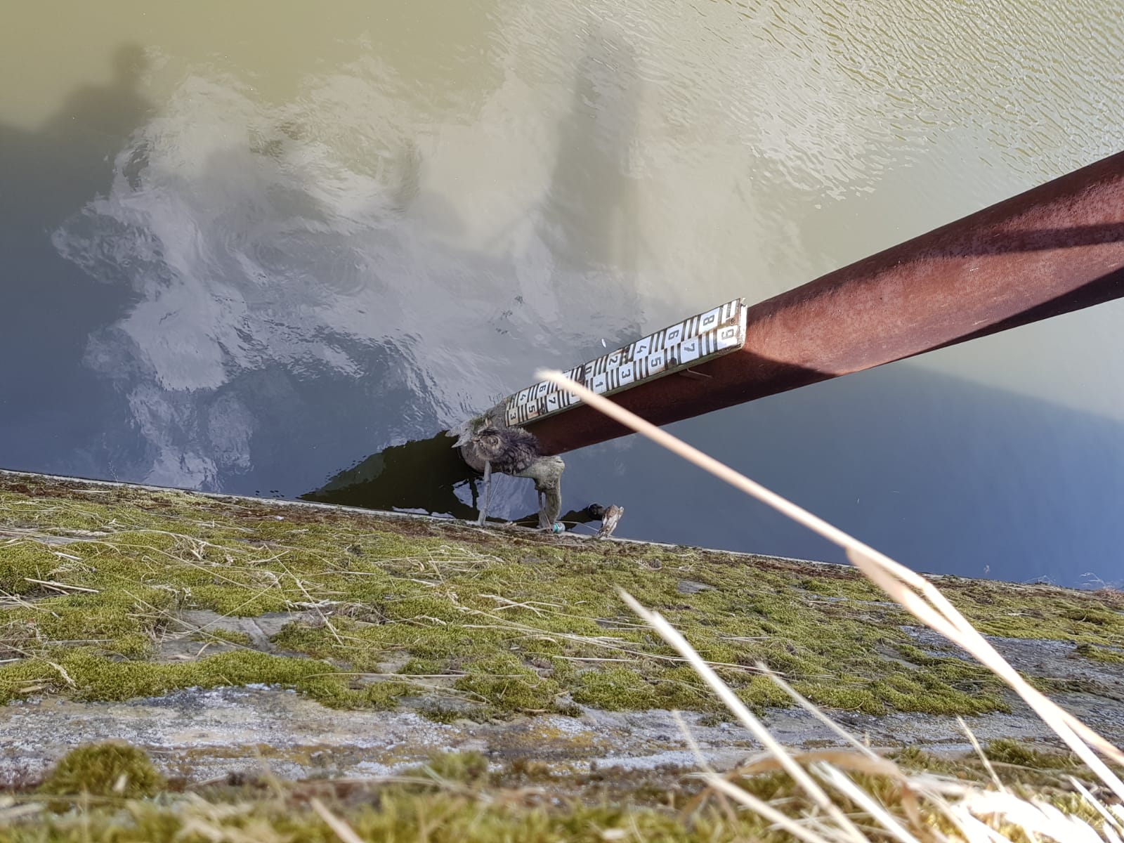 kocka3-Jaro-(1).jpg kocka3-Jaro-(1).jpg