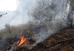  Hořící les pomáhal hasit i vrtulník