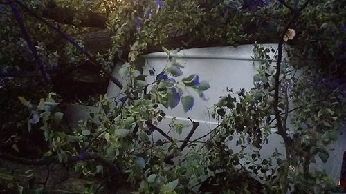 Strom spadl na jedoucí auto, v něm cestovali manželé