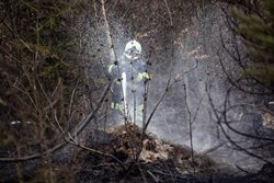 Varování před požáry v přírodním prostředí