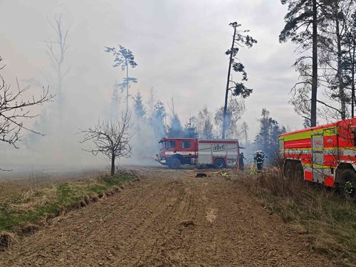 Lesní požáry zaměstnaly desítky hasičů a ohrozily rozsáhlé porosty