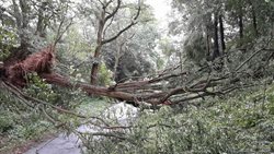 Silné bouřky neustávají. Trápily Olomoucký kraj včera v podvečer i dnes celou noc. 