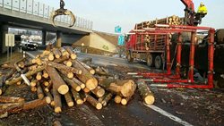Převracený přívěs se dřevem zcela zablokoval dopravu 