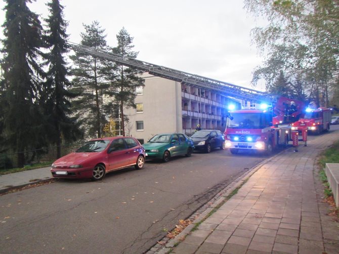 z-(1).jpg