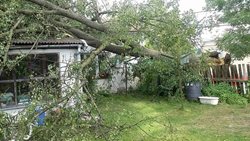 Od středy odpoledne do dnešního dopoledne, hasiči v Olomouckém kraji vyjíždí kvůli silnému větru
