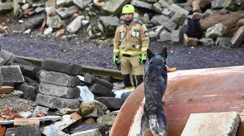 Kynologové připravují psy na extrémní zásahy