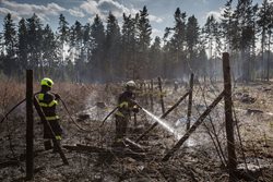 U Choustníkova Hradiště hořel les, požár se rozšířil kořenovým systémem
