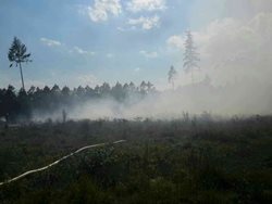 Lesní požár hasilo devět jednotek