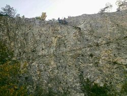 Sebevražedné kozy jsme zachránili před skokem ze skály