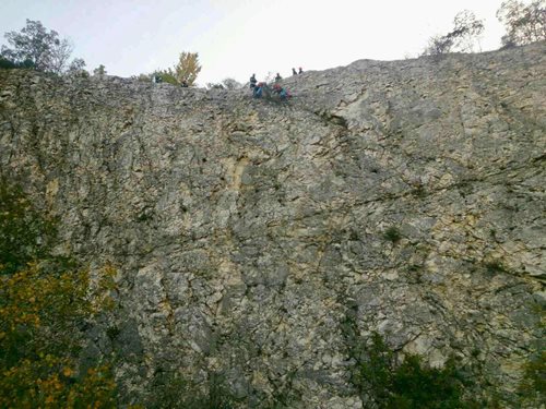 Sebevražedné kozy jsme zachránili před skokem ze skály