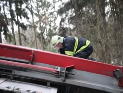 Na Benešovsku havaroval nákladní automobil převážející prasata