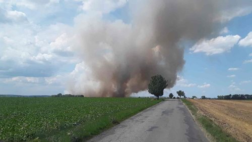 Požár strniště zaměstnal hasiče u obce Luběnice