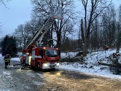 Na projíždějící vozidlo spadl strom, řidič zemřel