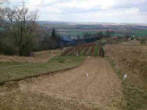 31736.jpg 31736.jpg