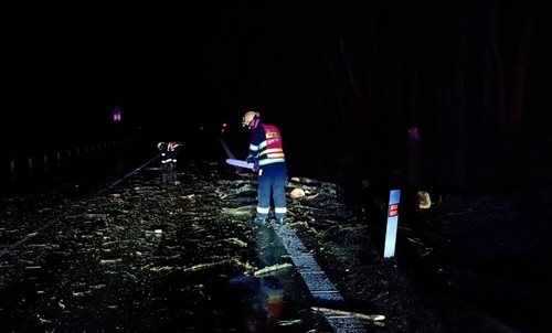 Hasiči zasahovali u popadaných stromů