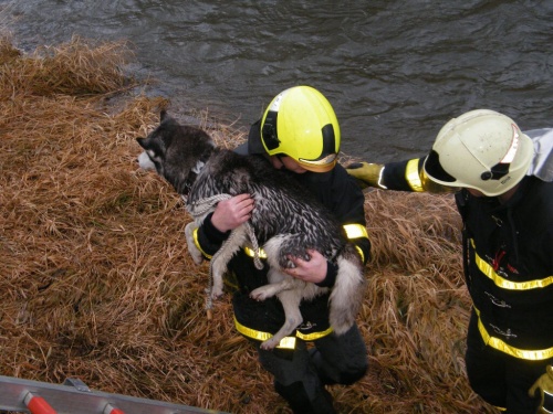 ViewImage-(14).jpg ViewImage-(14).jpg