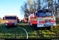 Šest hasičských jednotek likvidovalo požár lesního porostu v Petřvaldu, byl vyhlášen druhý stupeň poplachu
