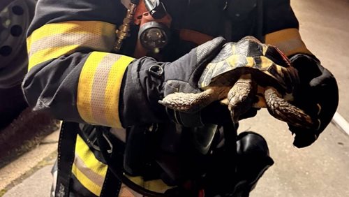 Požár oblečení způsobil evakuaci tří osob, hasiči zachránili želvu