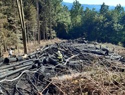 Plameny zničily lesní vyvážecí soupravu. Škoda dosáhla předběžně 1,5 milionu korun