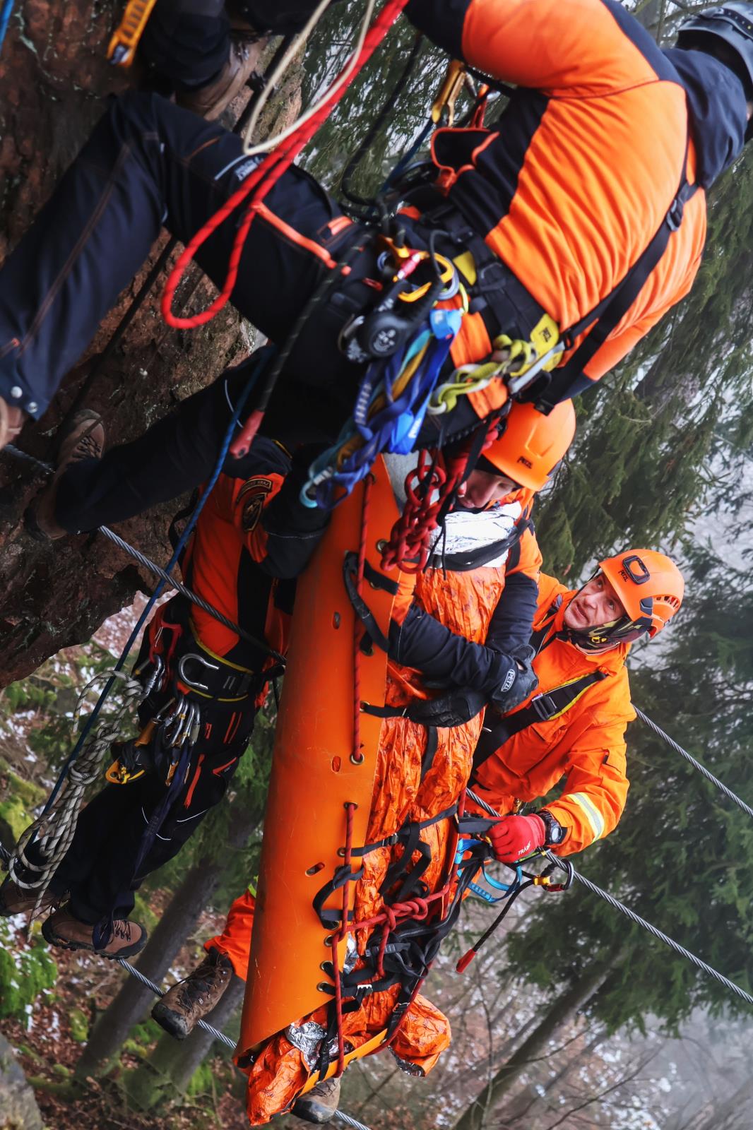 ViewImage-(3).jpg ViewImage-(3).jpg