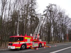 Moravskoslezští hasiči vyjeli k desítkám nebezpečných stromů VIDEO