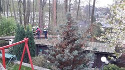 Hasiči na jihu Čech odklízeli popadané stromy