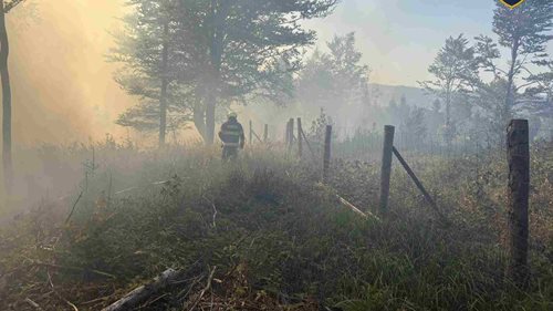 Rozsáhlý požár lesa prověřil hasiče. V náročném terénu nasadili devět vodních proudů
