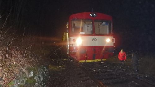 Vlak se zastavil o strom v kolejišti