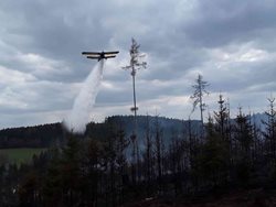 Jedenáct jednotek hasičů bojovalo ve středu s rozsáhlým požárem lesa u Řídelova