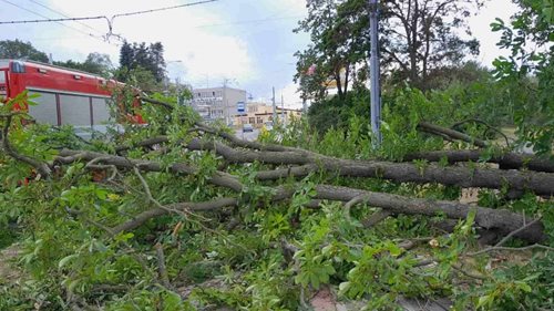 Bouřky zaměstnaly hasiče po celém kraji. Strom spadl na rybářský stan a vážně zranil člověka