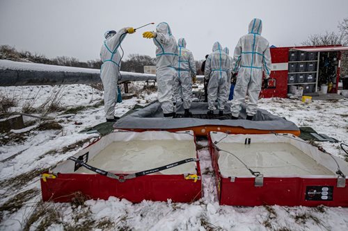 Zásah při výskytu ptačí chřipky v Dobřenicích