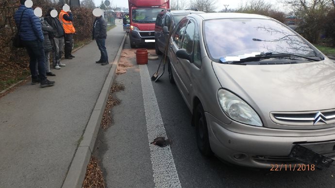 castiolovice2-(1).jpg