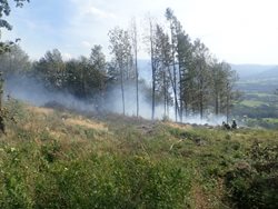 Požár lesa na Ondřejníku, hasiči před ním uchránili restauraci i její hosty