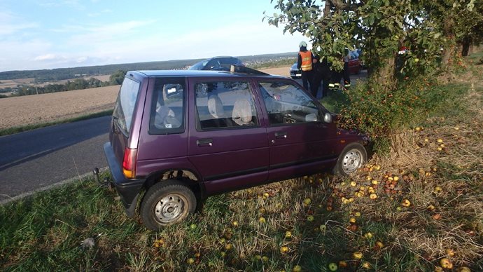 dvur-kral1-(1).jpg