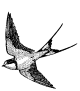 53cac14fdc5a37ce1f9589e18115e413.gif 53cac14fdc5a37ce1f9589e18115e413.gif