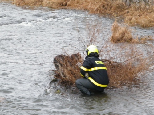 ViewImage-(13).jpg ViewImage-(13).jpg