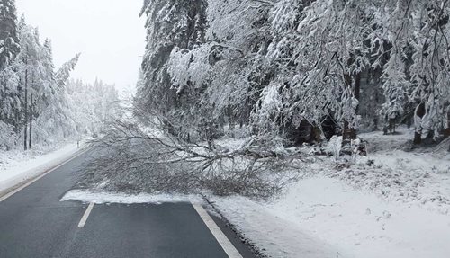 Těžký sníh zvyšuje zatížení střech a riziko poškození