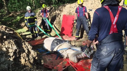 Náročná záchrana koně skončila úspěchem. Zvíře vytáhli z bahnitého terénu