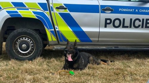 Seniorka v ohrožení našla pomoc