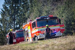 Požár lesa v Krásné likvidovaly čtyři hasičské jednotky, musely porazit i vzrostlý strom