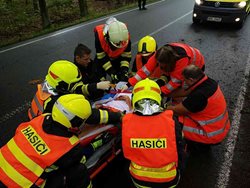Hasiči vyprošťovali u nehody i lovili uhynulé ryby