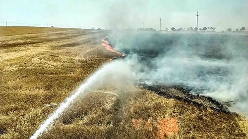 Požár trávy zaměstnal tři jednotky. Hasiči zabránili jeho dalšímu šíření