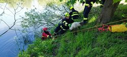 Jehňata ve vodě: Rychlý zásah hasičů zachránil tři životy