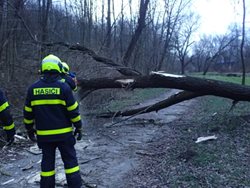Kvůli větru výjezdy moravskoslezských hasičů stoupají