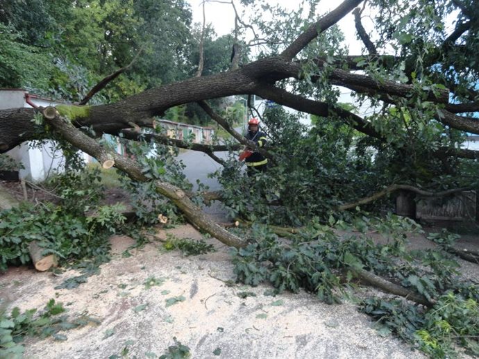 nachod-strom1.jpg nachod-strom1.jpg