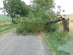 Téměř pět desítek výjezdů hasičů za necelé dvě hodiny byly spojené s  bouřkami v Olomouckém kraji.