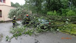 V Moravskoslezském kraji není po  noční bouřce evidováno žádné čerpání vody, jen samé odklízení popadaných stromů 